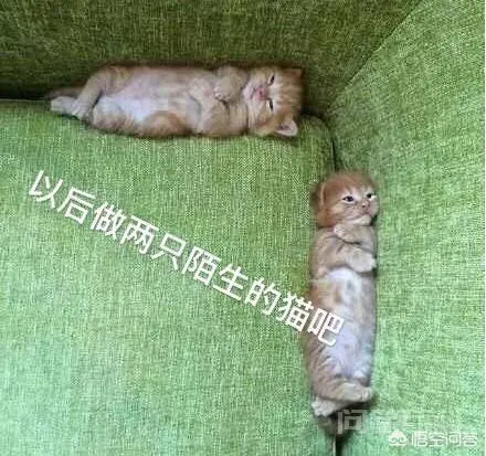 如果一个比你大十岁的离异女人爱上了你,你该怎么办?