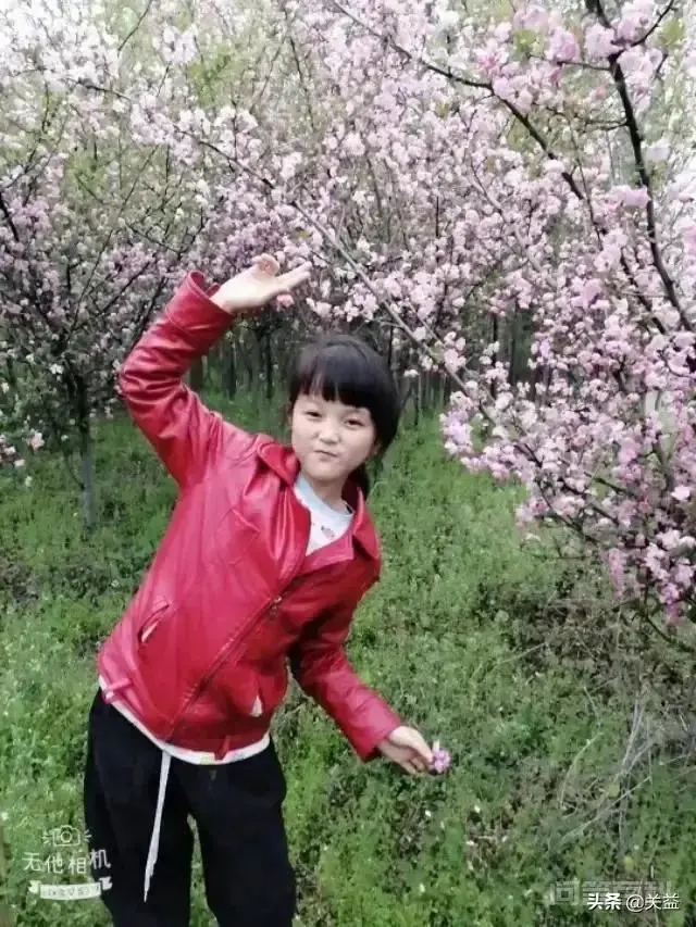 中国有60多万丁克族,没儿没女的丁克族晚年幸福吗?-图片1