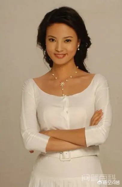 央视的十大著名女主持,你最喜欢谁?-图片7