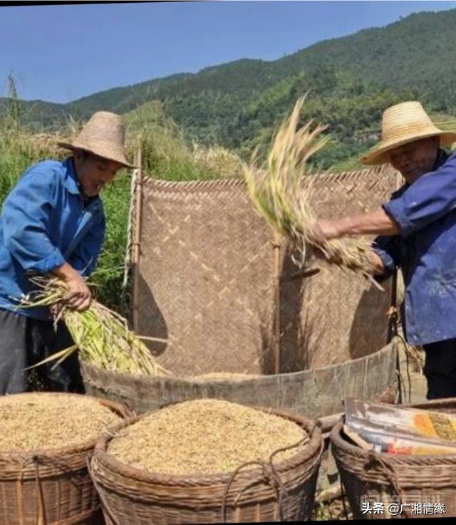 假如时光倒流十年或二十年,你会做什么呢?-图片2