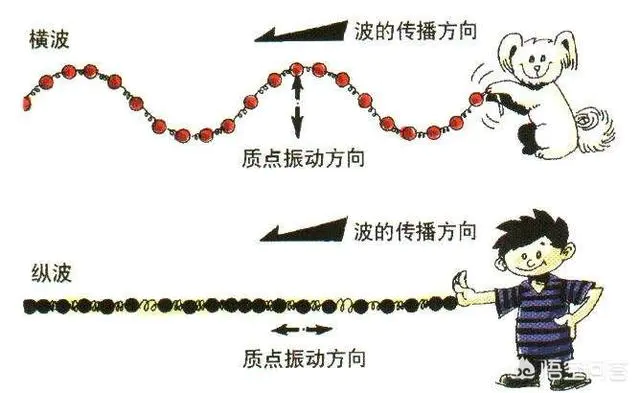地震时为什么离得近的地方没震感,反而距离远的地方震感强烈?-图片3
