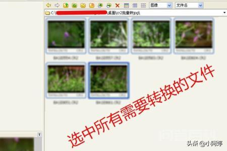 CR2格式怎么转换成JPG格式?-图片2