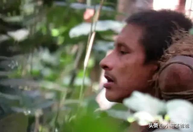 近日,亚马逊雨林原始人被罕见发现,被察觉异响后迅速消失。这是怎么回事?-图片3