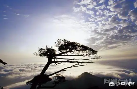 “寿比南山”一词中的“南山”是指哪里?-图片2