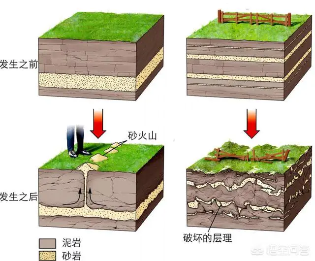 地震时为什么离得近的地方没震感,反而距离远的地方震感强烈?-图片7