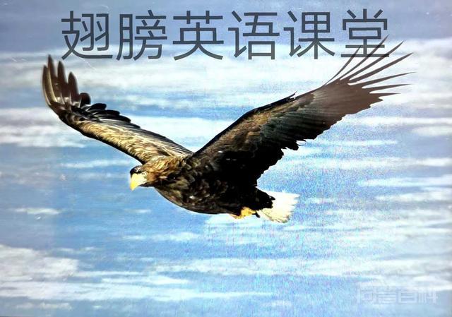 26个英文字母及发音音标分析-图片2