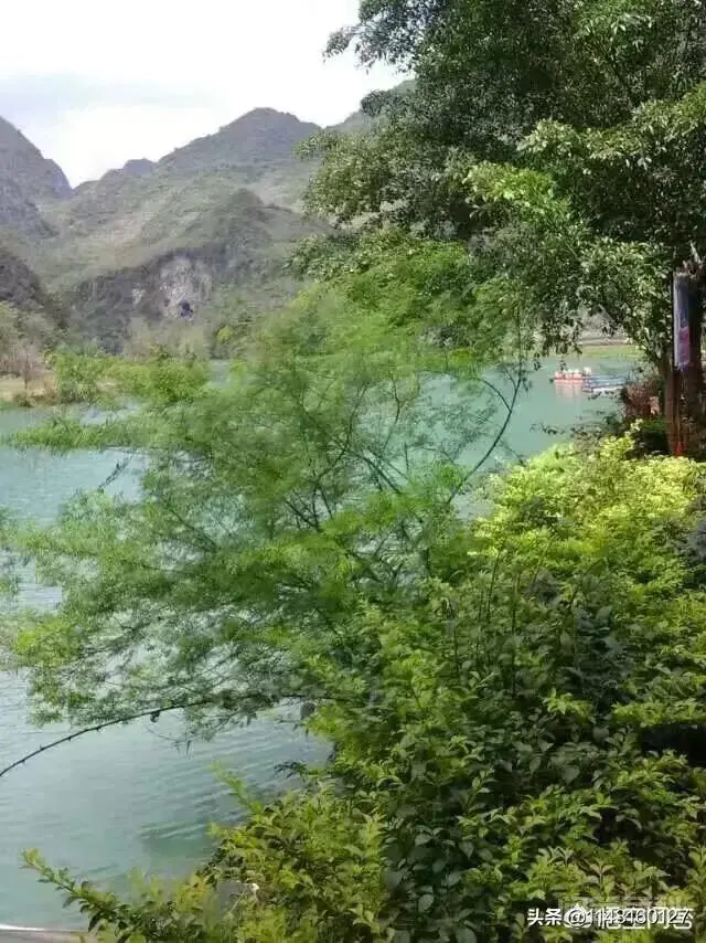 《草案》可以立即实施吗?