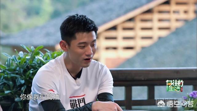 为何潘石屹在《向往的生活》中为张继科做球拍如此上心?-图片6