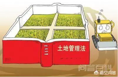 国有土地和集体土地有什么区别?-图片1