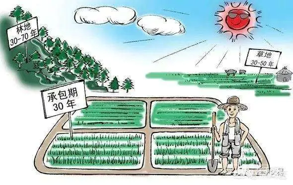 国有土地和集体土地有什么区别?-图片3