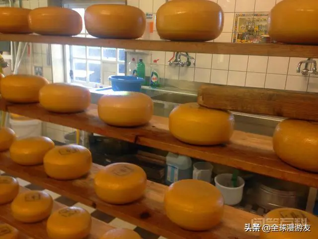 现在去荷兰自由行可以吗?要注意什么?-图片3