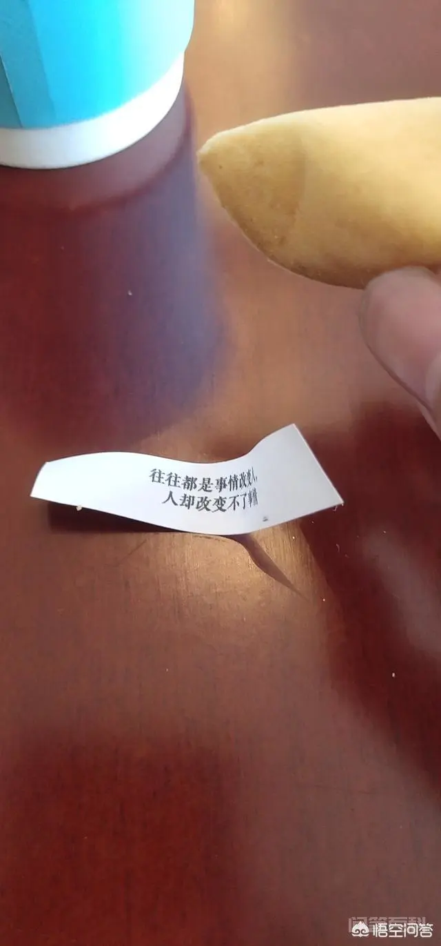 教育包括哪些内容?什么是正面教育?什么是反面教育?