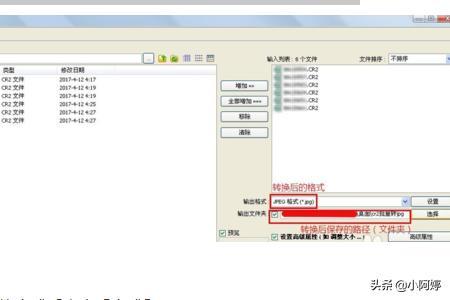 CR2格式怎么转换成JPG格式?-图片4