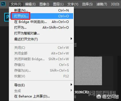 CR2格式文件怎么快速批量转换成JPG等格式?-图片3