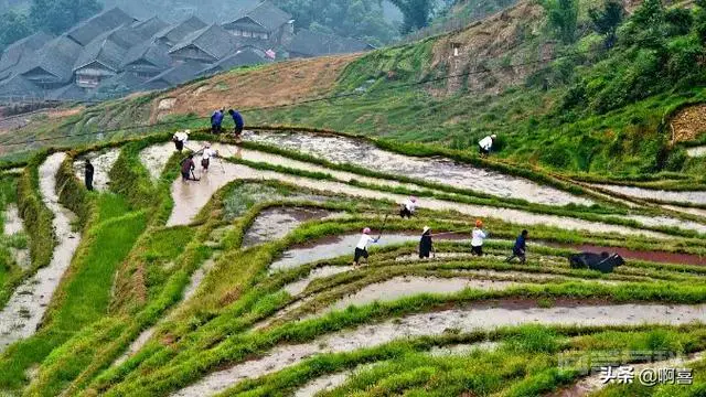 广州花都有什么好玩地方?-图片9