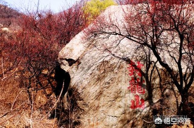 河北元氏县有哪些特产?-图片2