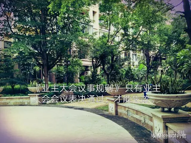 没有经过业主大会表决通过的《议事规则(草案)》能作为依据来执行吗?-图片1