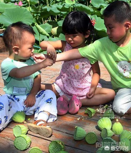 三胎政策全面开放,究竟要不要生三胎?-图片2
