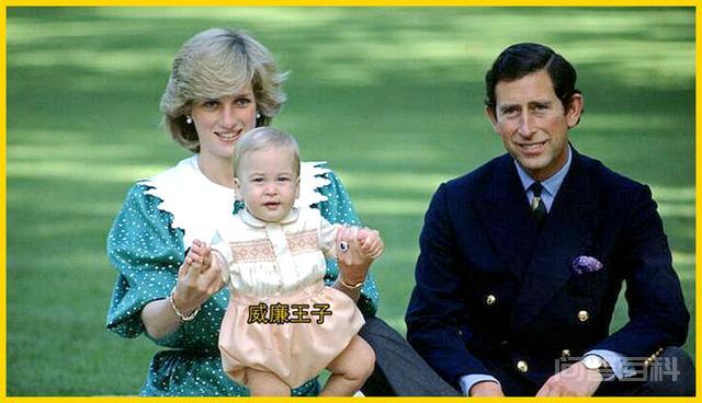 查尔斯拒绝让阿奇成为王子，哈里要带儿子回英国，亲情能挽回吗？-图片5