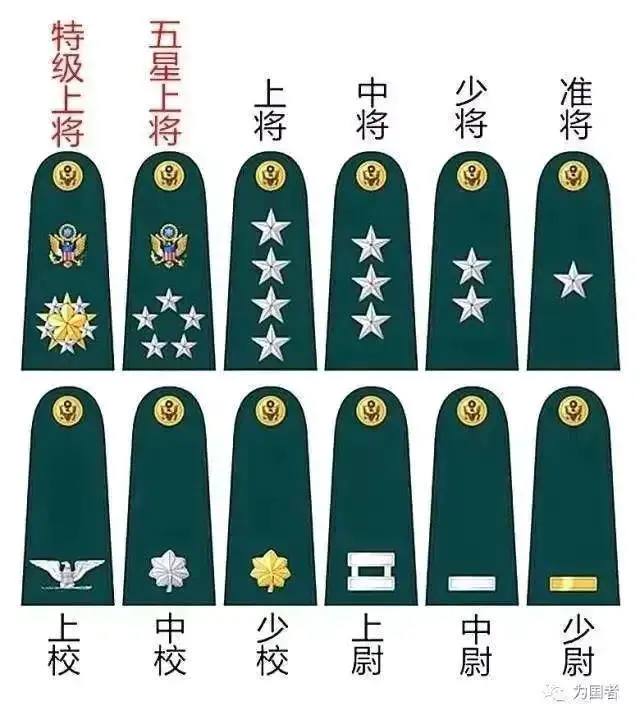 美军校级尉级军官肩章为什么没有杠和星?-图片1