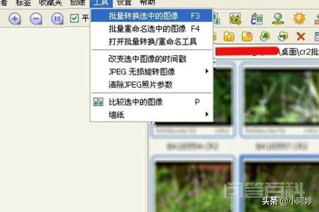 CR2格式怎么转换成JPG格式?-图片3
