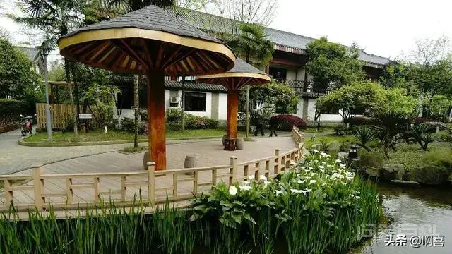 广州花都有什么好玩地方?-图片2
