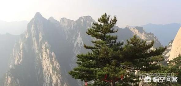 “寿比南山”一词中的“南山”是指哪里?-图片3