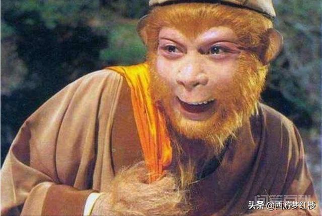 孙是什么意思啊?-图片1