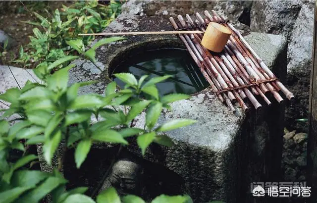 在生活记忆里,井水、自来水、纯净水、矿泉水、山泉水。你认为哪种好喝?-图片1