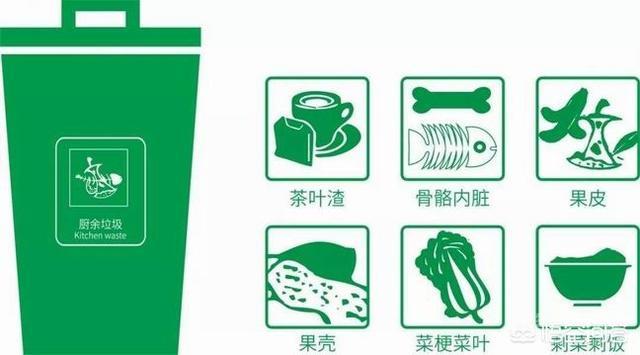 厨余垃圾有哪些种类?
