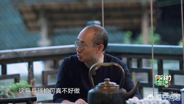 为何潘石屹在《向往的生活》中为张继科做球拍如此上心?-图片4