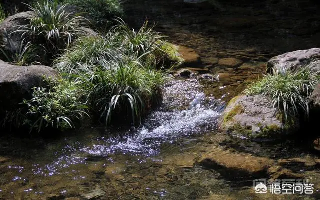 在生活记忆里,井水、自来水、纯净水、矿泉水、山泉水。你认为哪种好喝?-图片5