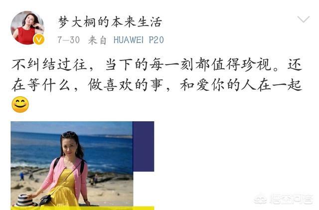 如何评价央视主持人梦桐?-图片8