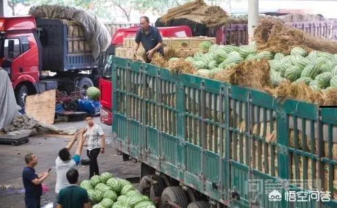 想买辆车在南方和北方之间倒卖水果,不知道可行吗?-图片1
