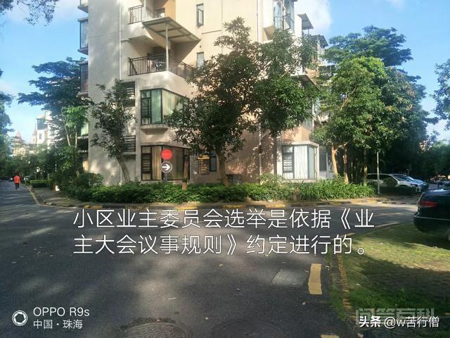 没有经过业主大会表决通过的《议事规则(草案)》能作为依据来执行吗?-图片2