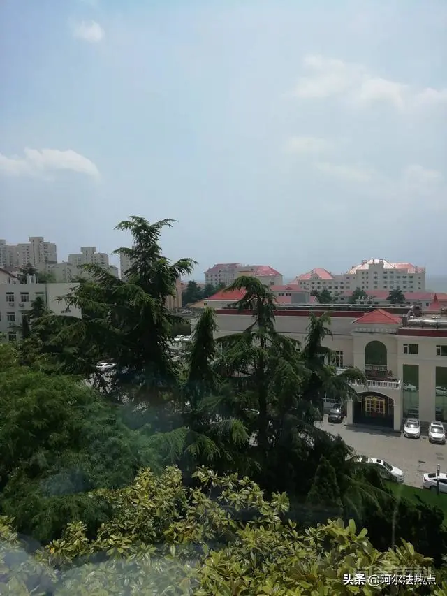 已故戴安娜王妃通灵威廉王子,要他拯救哈里王子,是怎么回事?