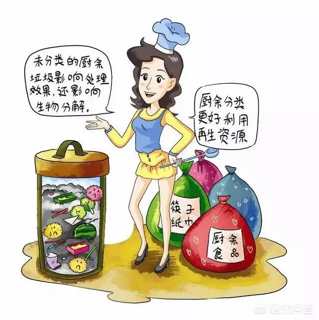 厨余垃圾和不可回收垃圾有什么区别?