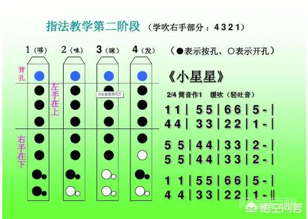 八孔竖笛教程?-图片2