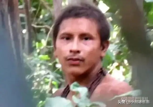 近日,亚马逊雨林原始人被罕见发现,被察觉异响后迅速消失。这是怎么回事?-图片1