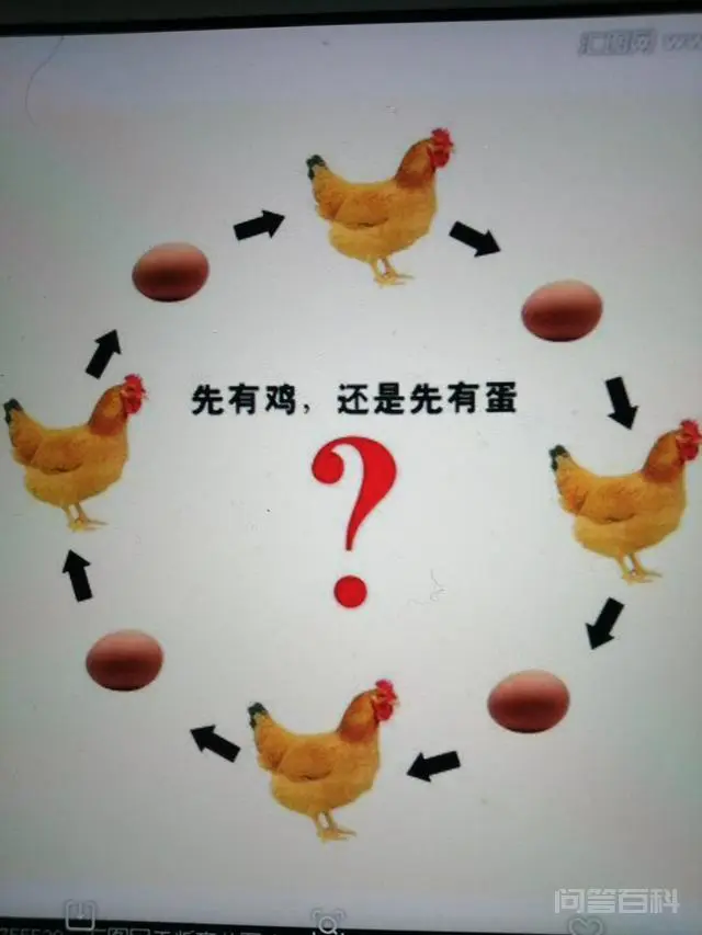 究竟是先有鸡,还是先有蛋?-图片3