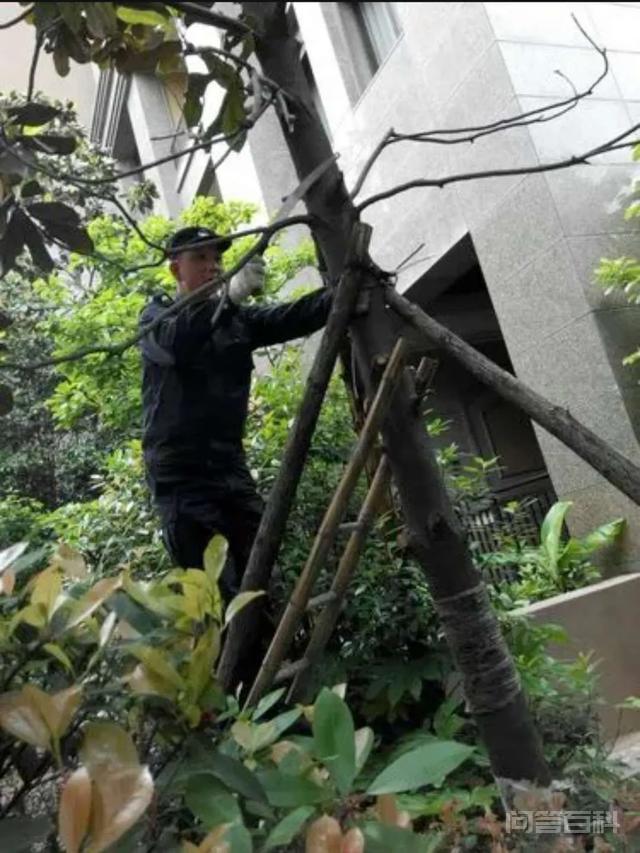 为什么有人说物业保安难做？-图片2