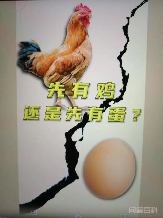 究竟是先有鸡,还是先有蛋?-图片2