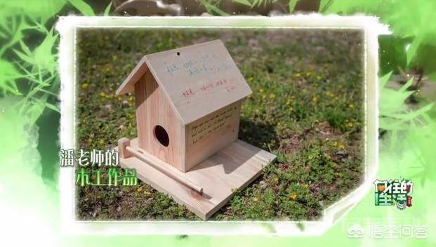 为何潘石屹在《向往的生活》中为张继科做球拍如此上心?-图片5