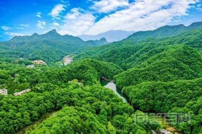 林草科普|“森林覆盖率”“林木绿化率”和“生态平衡”-图片2