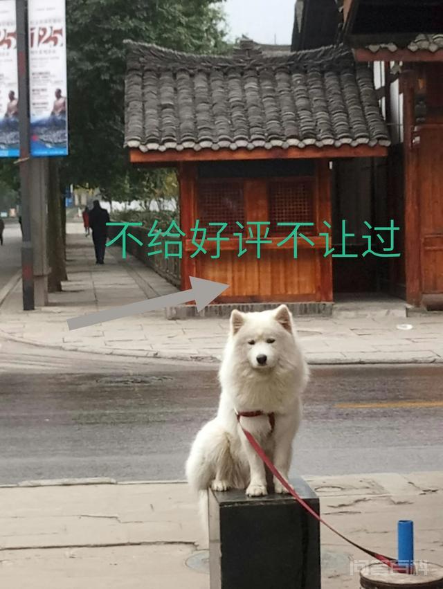 网上有些人所谓的不再相信淘宝上的评价和动态评分,是不是一种很盲目的说法?-图片1