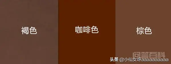 褐色,咖啡色,棕色有什么区别?有图片嘛?