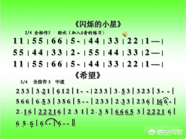 八孔竖笛教程?-图片3