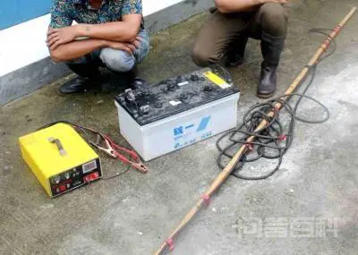 电鱼的人为什么不会电到自己?-图片3