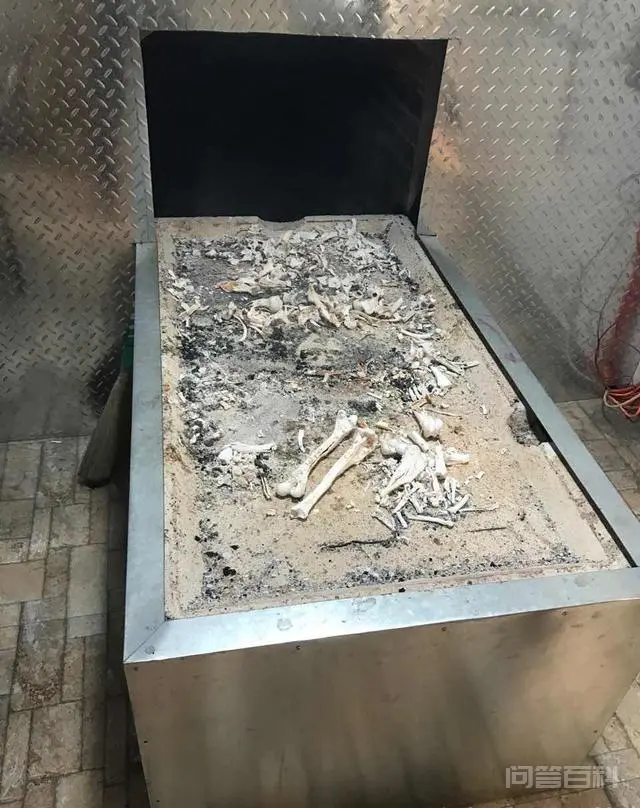 人死后被火葬,会痛苦吗?-图片1