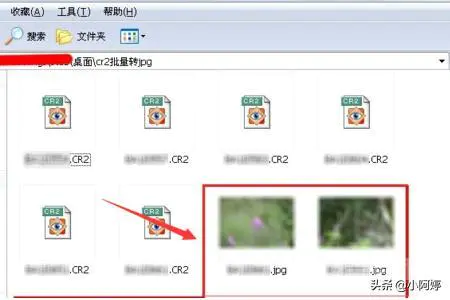 CR2格式怎么转换成JPG格式?-图片6
